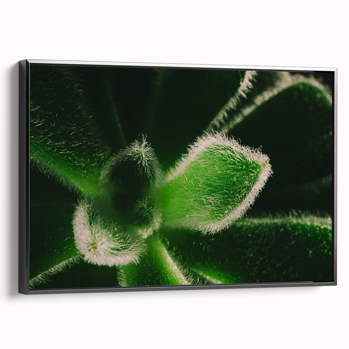 Black and white landscape art painting of florals, framed canvas, ideal for bedroom wall decor.