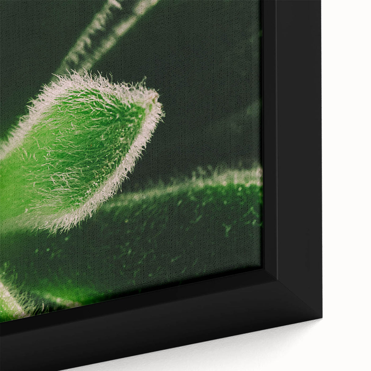 Close-up of black wall art featuring colorful, textured florals on a large framed canvas, ideal for living room decor.