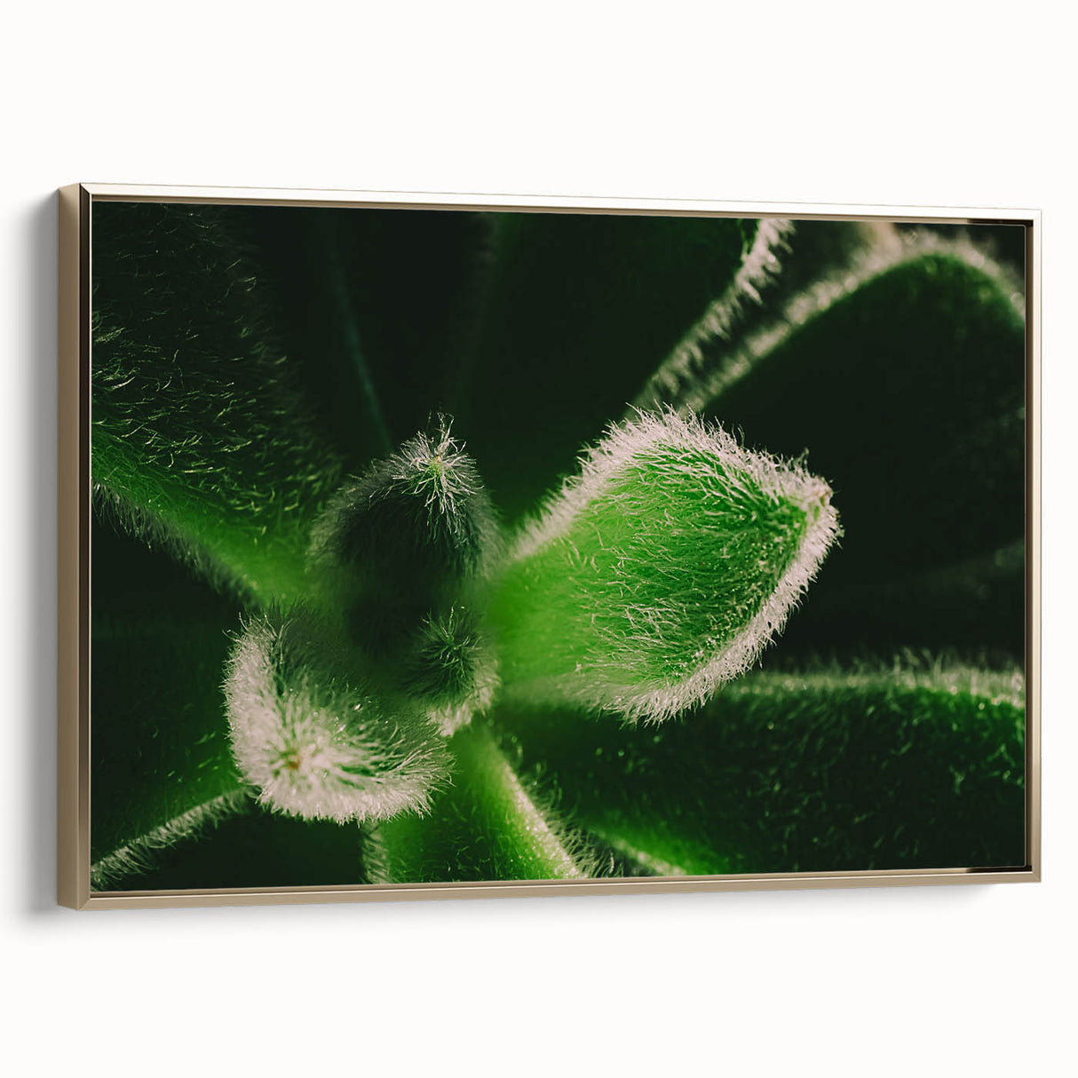 Framed canvas featuring a close-up of a floral design in gold and black, ideal for bedroom wall art.