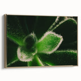 Framed canvas featuring a close-up of a floral design in gold and black, ideal for bedroom wall art.