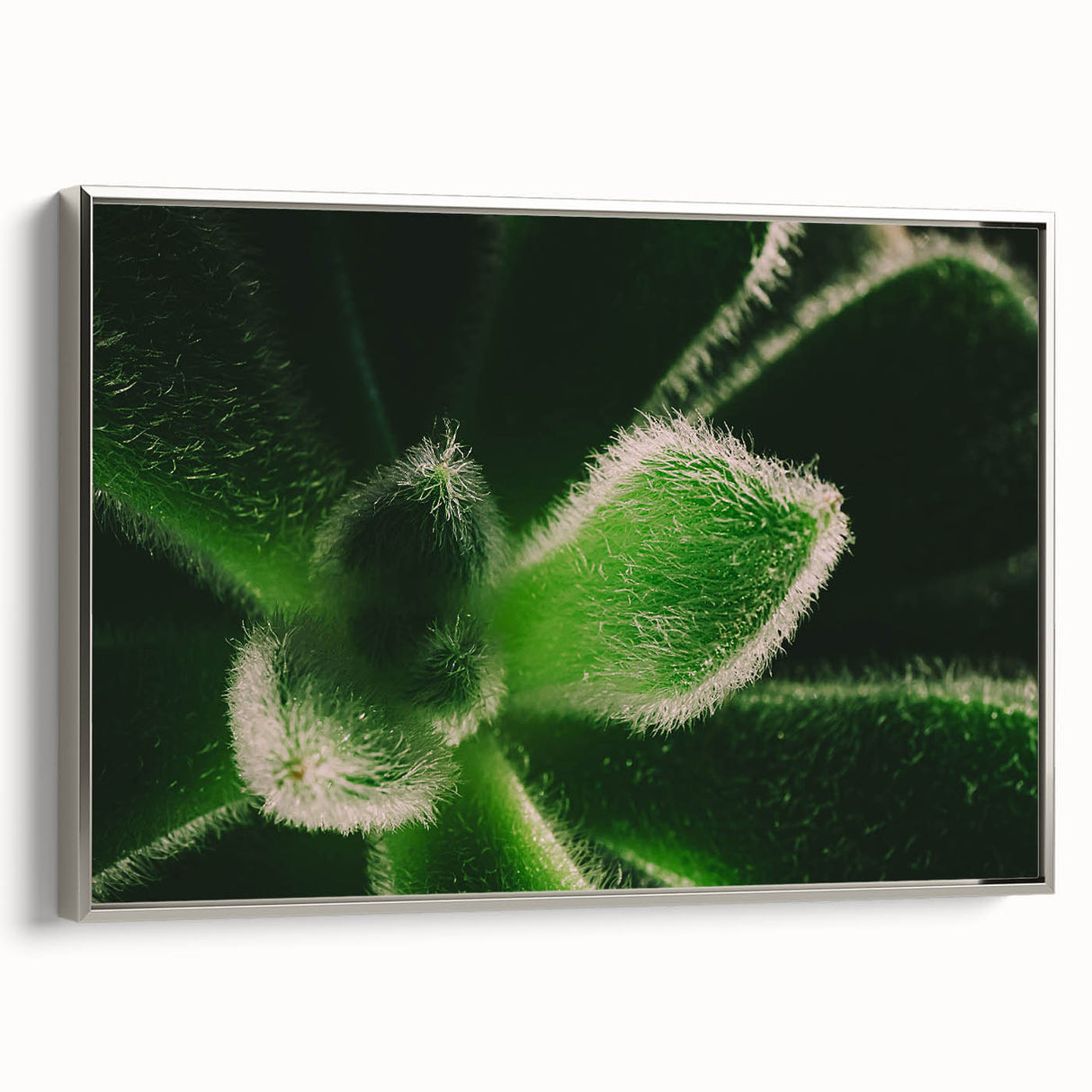 Silver-framed canvas depicting a colorful landscape art painting of florals, ideal for enhancing a living room or hallway.