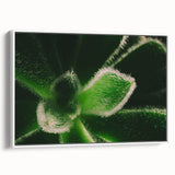 Extra large framed canvas featuring vintage poster art of colorful florals against a black background.