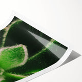 Extra large rolled print featuring line art flowers in muted earth tones, suitable for large living room wall art.