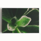 Black and white close-up floral image on stretched canvas, ideal for kitchen wall art or bedroom ambiance.