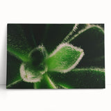 Black and white close-up floral photograph on stretched canvas, ideal for kitchen wall art.