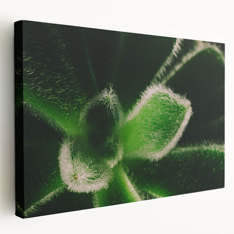Close-up floral print on stretched canvas featuring soft pink and white blossoms, ideal for kitchen wall art.