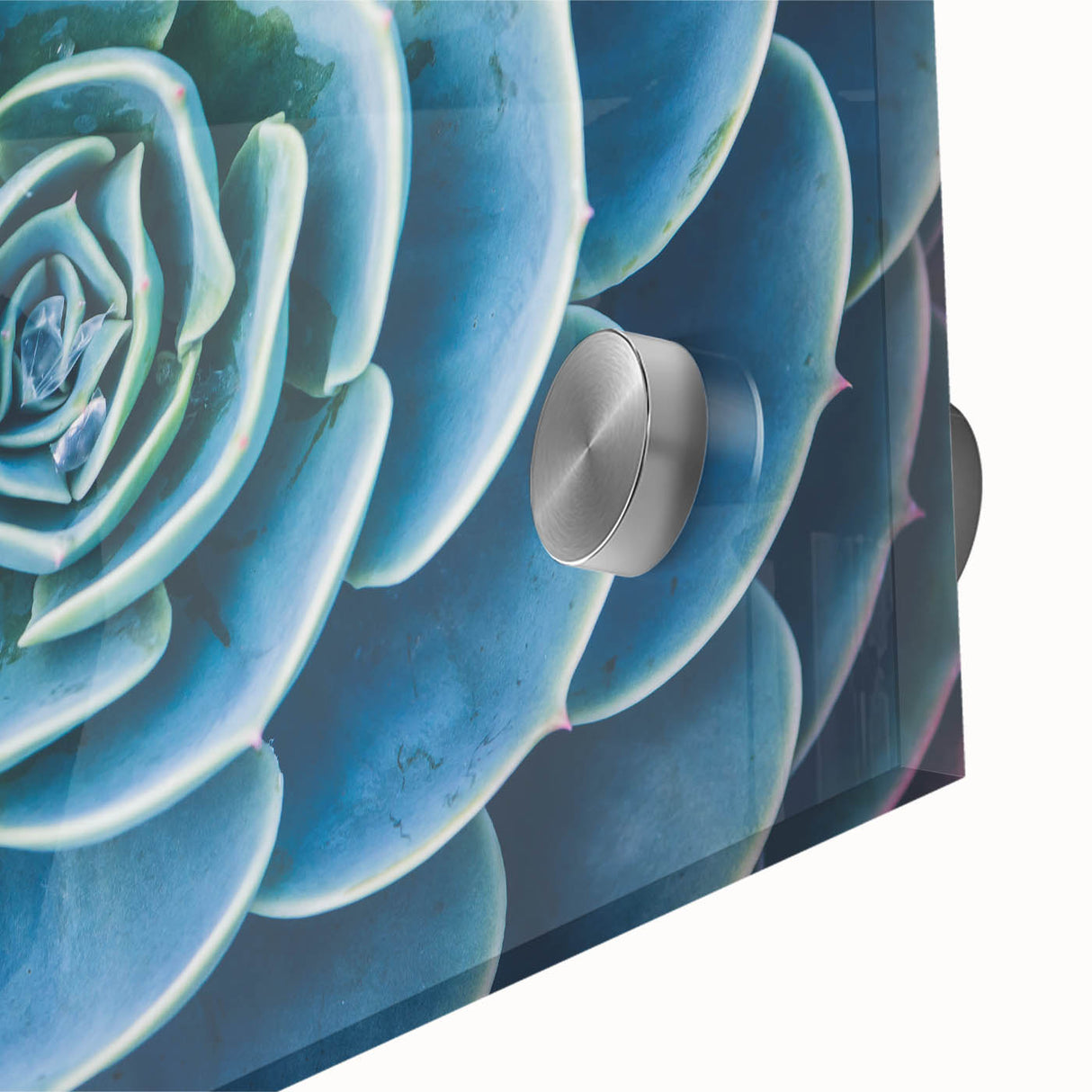 Large abstract floral design in vibrant orange and red tones on acrylic glass, ideal for dining room art.