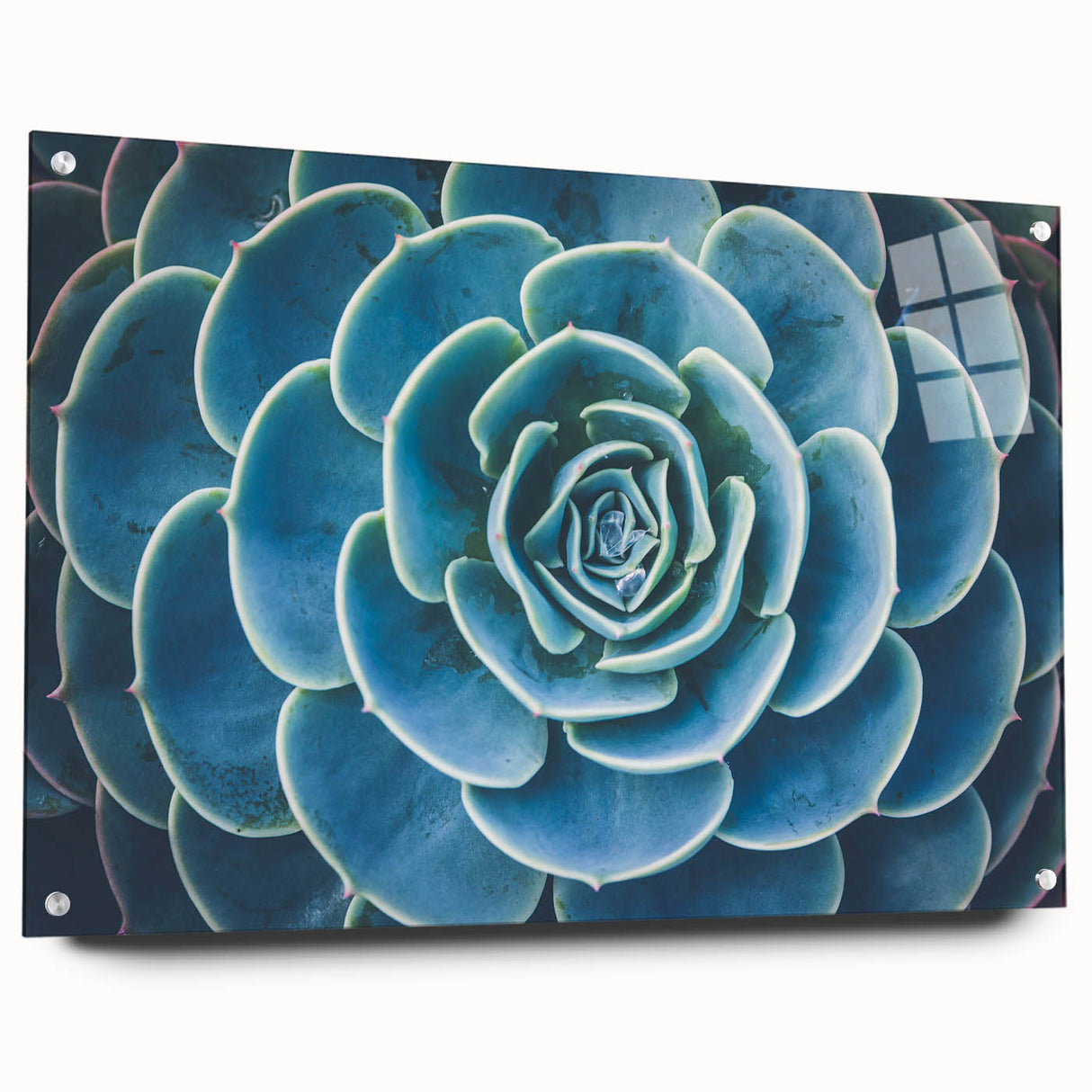 Close-up floral design in vibrant colors on acrylic glass, ideal for dining room or bedroom decor.