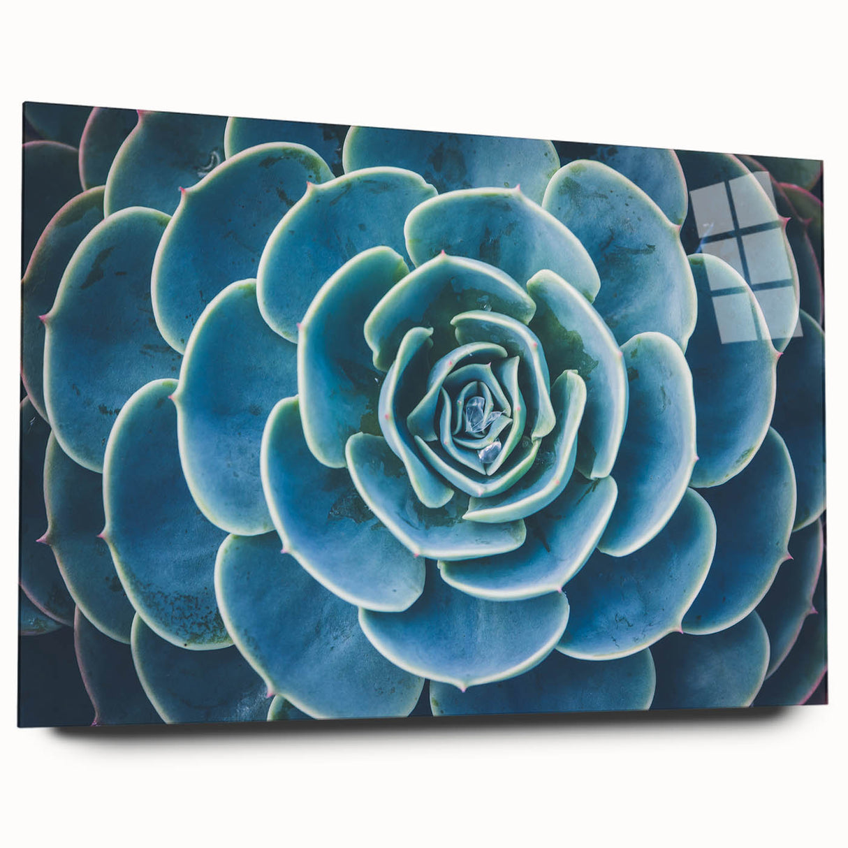 Large abstract floral design in vibrant hues on acrylic glass, ideal for bedroom or dining room art.