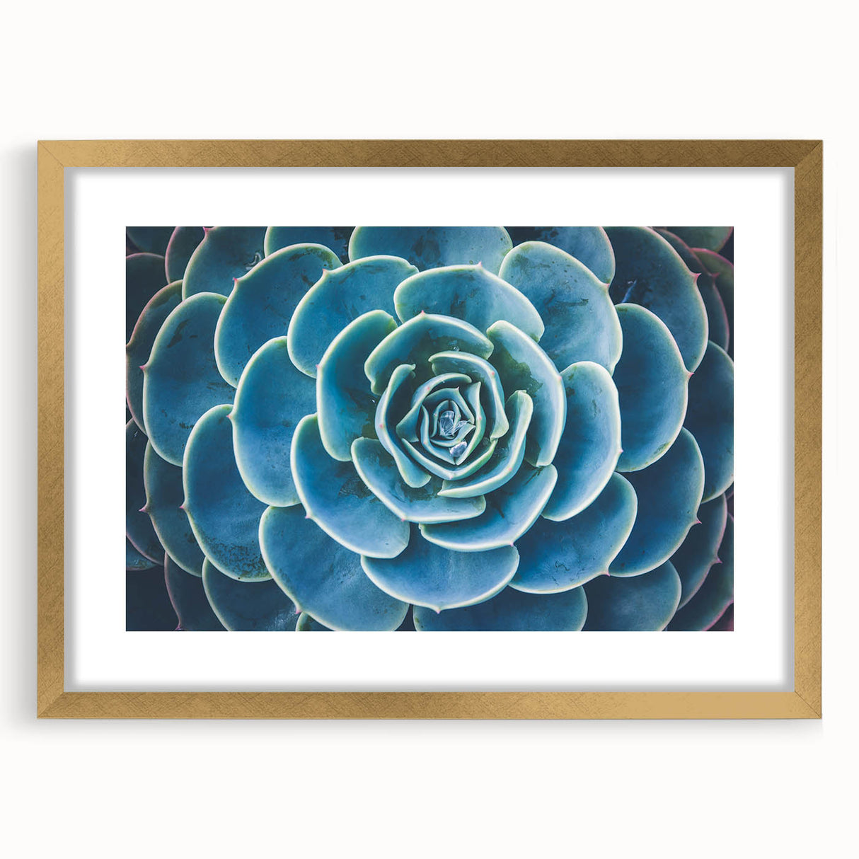 Extra large abstract art print depicting textured florals in muted earth tones, framed in gold.