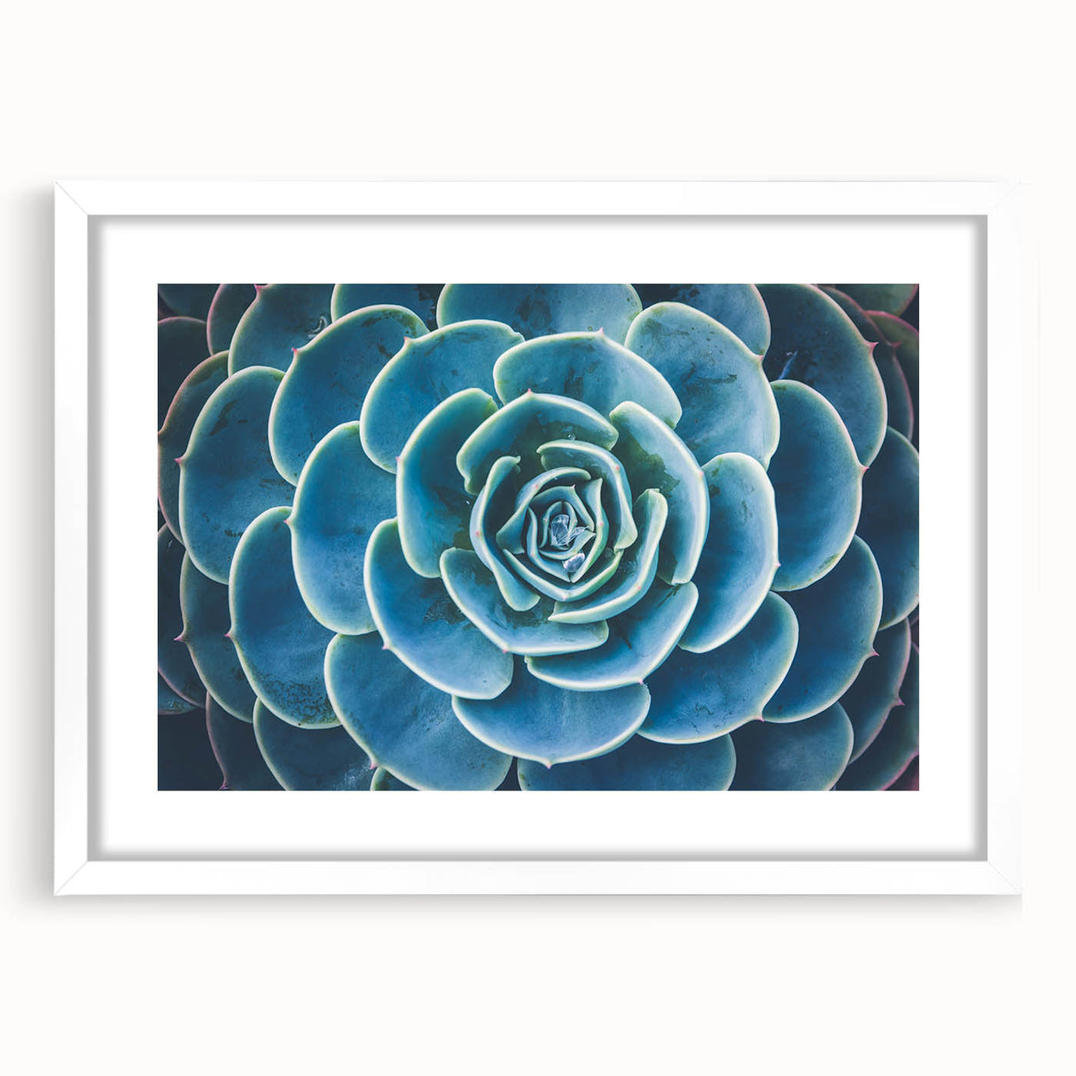 Abstract art print featuring close-up floral designs in soft pastel shades, white framed with mat.