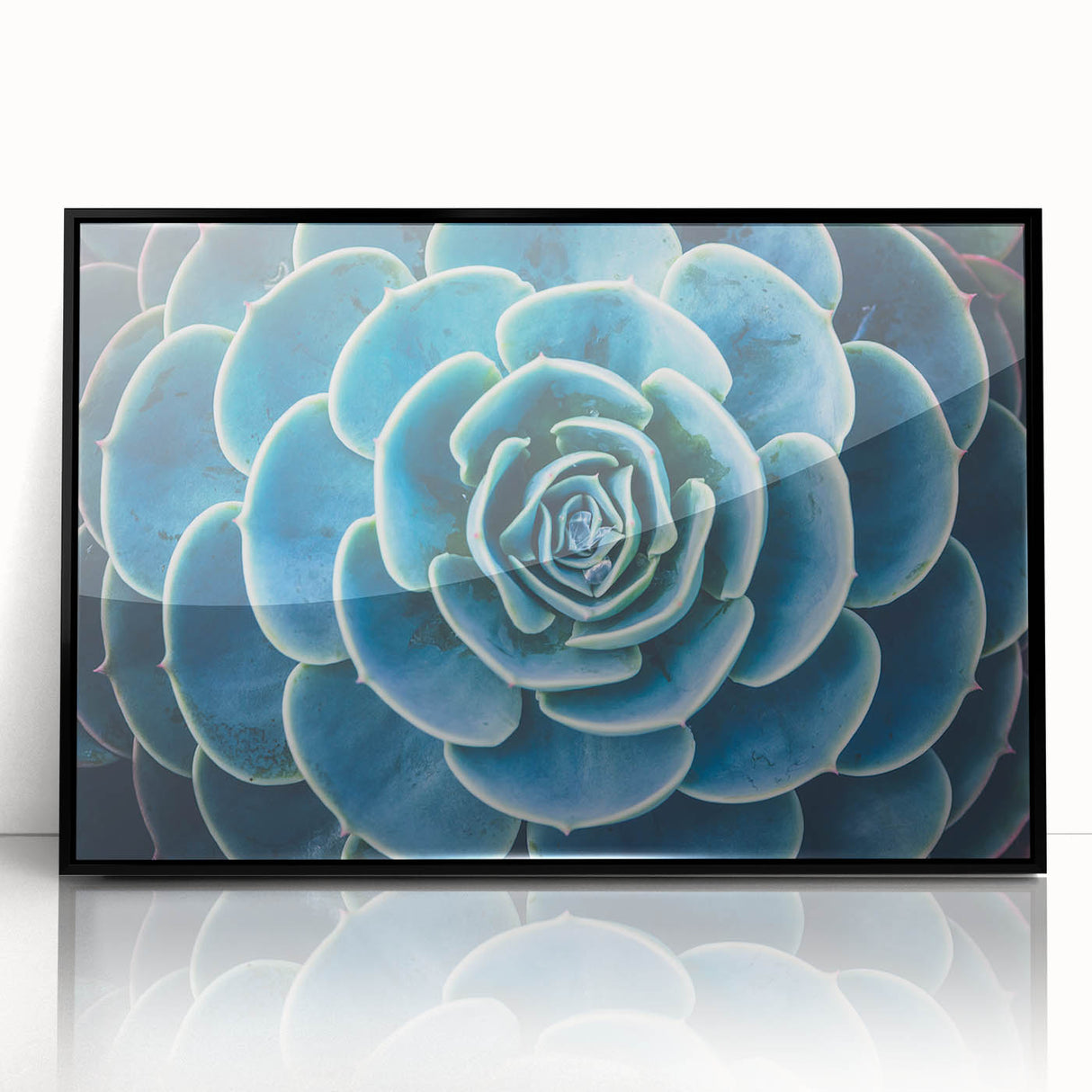 Large abstract wall art featuring vibrant floral designs in a mid-century modernist style, framed in black acrylic.