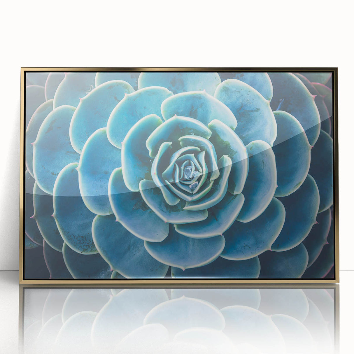 Large art print of close-up floral images in soft pastel shades, framed in gold acrylic, suitable for modern nursery decor.