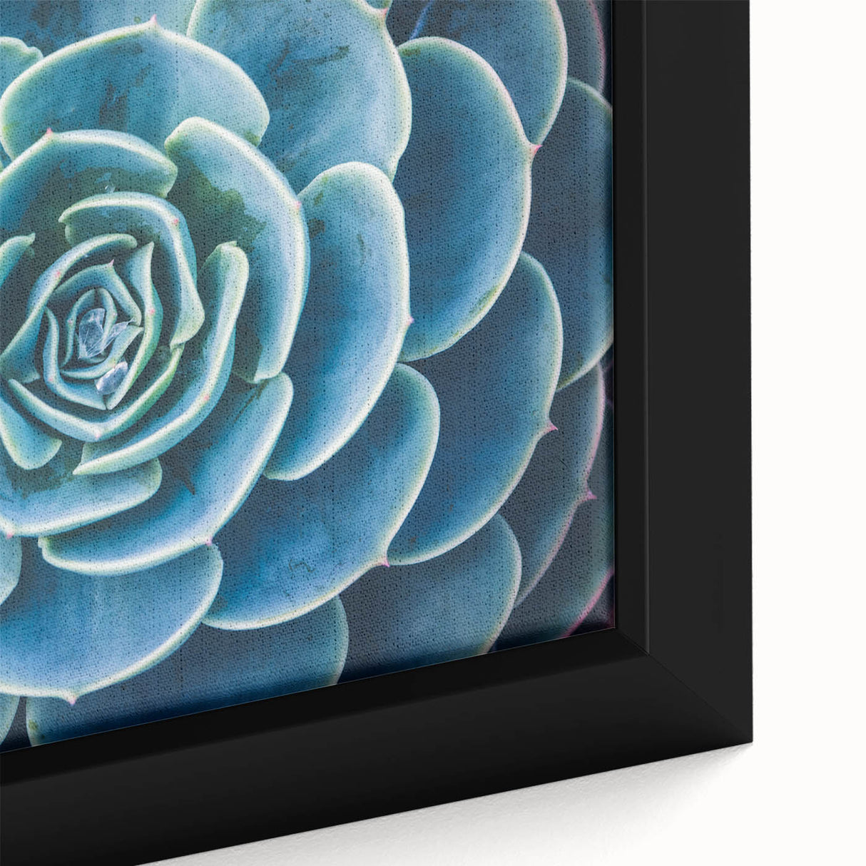 Extra large framed canvas featuring a close-up of colorful, textured floral designs on a black background.