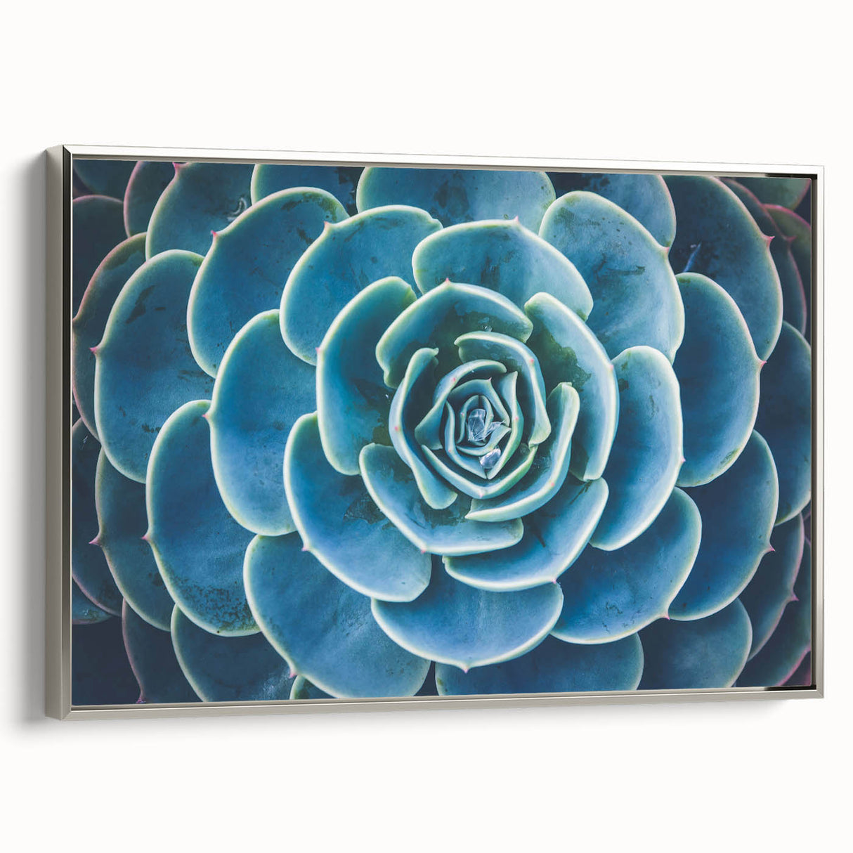 Framed canvas featuring a vintage landscape painting with colorful florals against a black background.