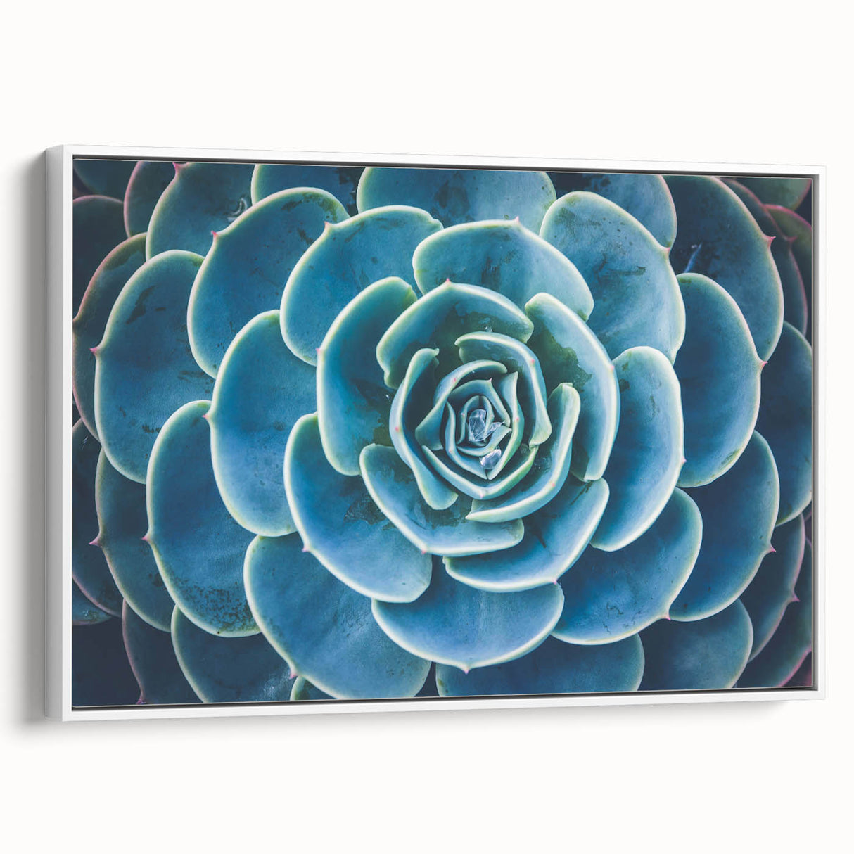 Vintage poster art featuring colorful floral designs on a large framed canvas, ideal for living room decor.