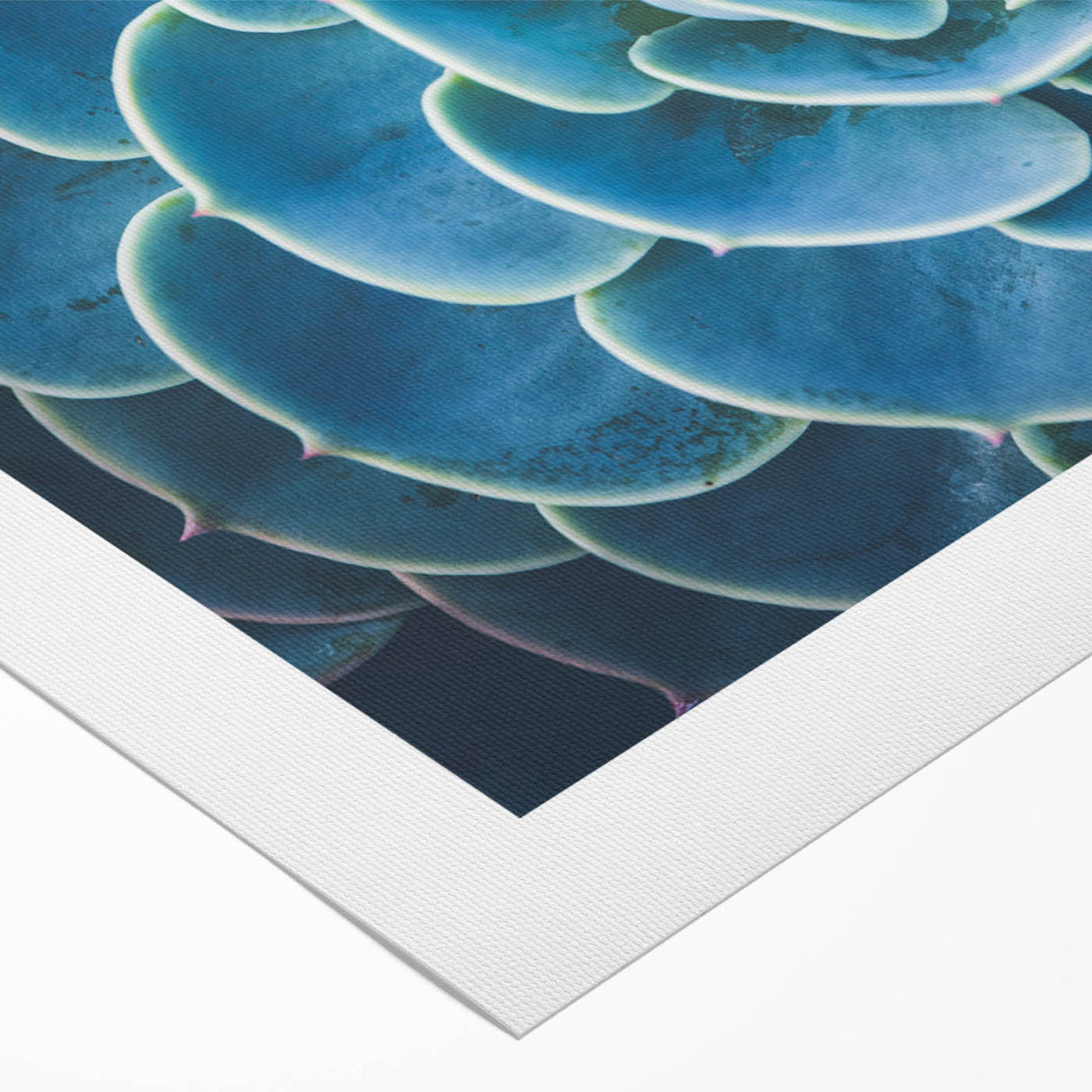 Art deco poster featuring a close-up floral design in soft pastel shades on rolled canvas.