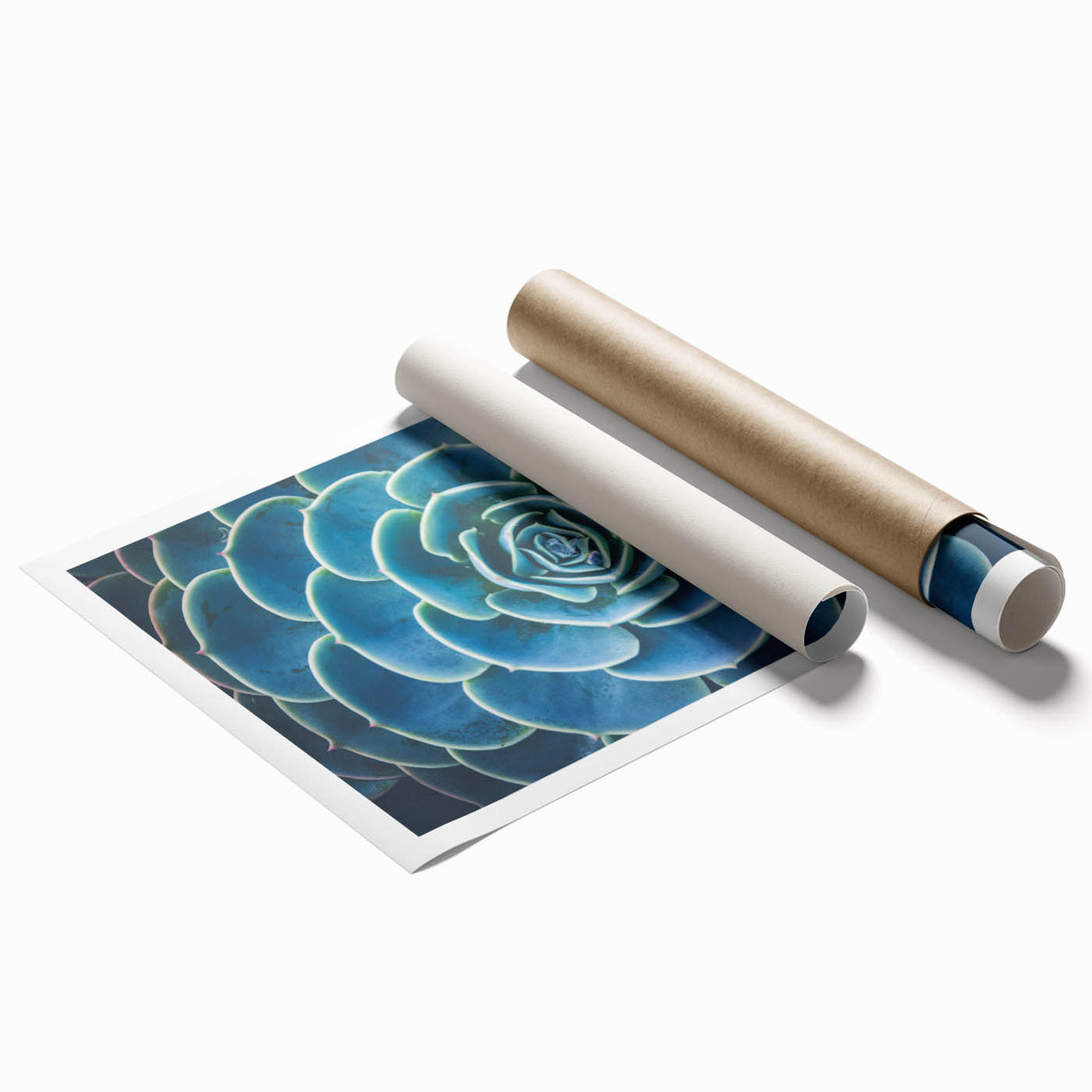 Extra large rolled canvas featuring close-up floral art in soft pastel shades, ideal for classy bathroom wall art.