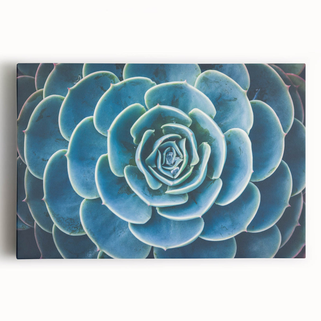 Black and white close-up floral image on stretched canvas, suited for kitchen wall art.