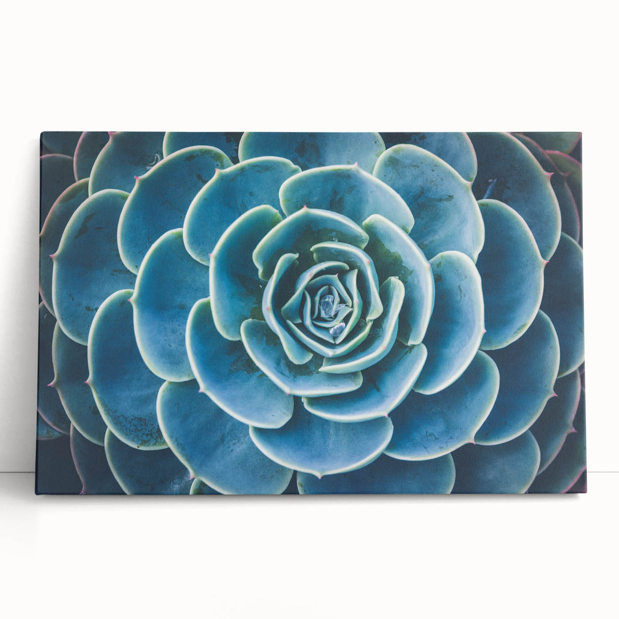 Black and white close-up floral image on stretched canvas, ideal for kitchen wall art or bedroom decor.