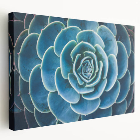 Close-up floral print on stretched canvas featuring vivid pink and green colors, suitable for kitchen wall art.