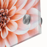 Large abstract floral print in vibrant oranges and greens on acrylic glass.