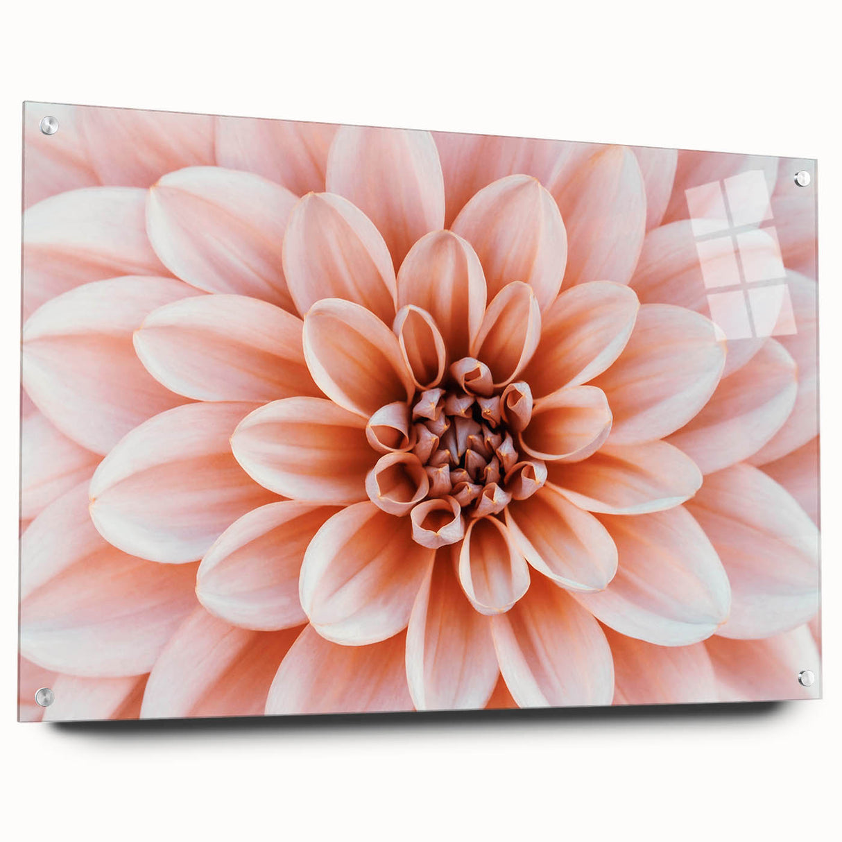 Close-up of a floral design on acrylic glass, featuring soft pink and white tones, suitable for bedroom or dining room decor.