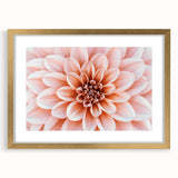 Extra large wall art featuring abstract floral design in textured gold tones, framed with mat, ideal for living room decor.