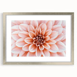 Textured abstract art print featuring close-up floral designs in soft pastel shades on a silver-framed mat.