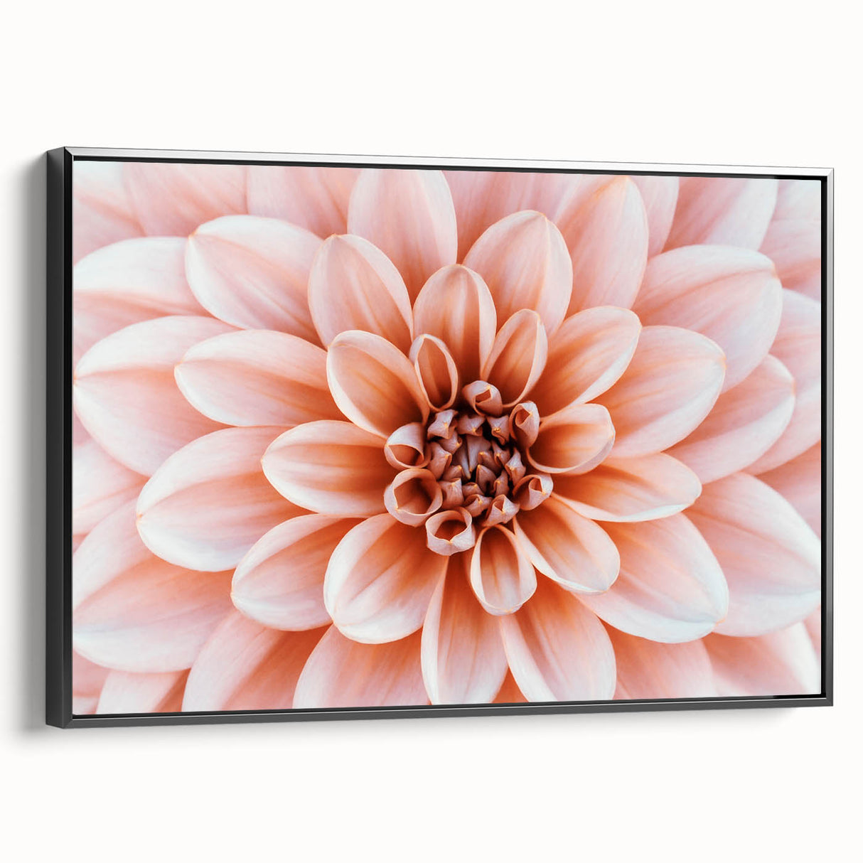 Black and white framed canvas of a floral landscape, ideal for bedroom wall art with a vintage poster style.