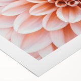 Art deco poster featuring a close-up floral design in soft pink and green hues on a rolled canvas.