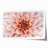 Extra large rolled print of vibrant floral art, ideal for dining room or bathroom decor.
