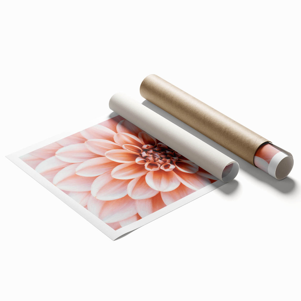 Extra large rolled print of a close-up floral design in soft pastel shades, ideal for classy bathroom wall art.