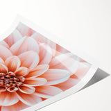 Extra large wall art featuring line art flowers in black and white on a rolled canvas, ideal for large living room decor.