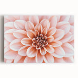 Black and white floral close-up on large stretched canvas, ideal for kitchen wall art.