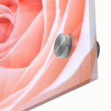 Mid-century modernist large abstract floral art in vibrant colors on acrylic glass, ideal for dining room ambiance.