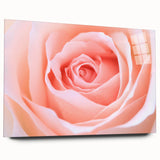 Large abstract wall art featuring vibrant floral designs on acrylic glass, ideal for bedroom or dining room decor.