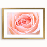 Extra large abstract art print of textured florals in gold frame, ideal for living room decor.