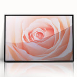 Large abstract wall art featuring vibrant floral designs in a mid-century modernist style, framed in black acrylic.