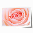 Close-up floral wall art featuring soft pink and white blooms on a rolled canvas, ideal for dining room or bathroom decor.