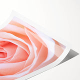 Extra large wall art featuring line art flowers in black on white, ideal for large living room decor.