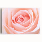 Black and white close-up floral photograph on stretched canvas, ideal for kitchen wall art.