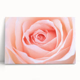 Black and white floral close-up on a large stretched canvas, suitable as kitchen wall art or for bedroom ambiance.