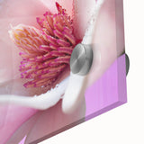 Acrylic glass print of large abstract floral design in vibrant colors, ideal for dining room art.