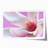 Extra large rolled print featuring close-ups of florals in soft pastel shades, suitable as art wall dining room.