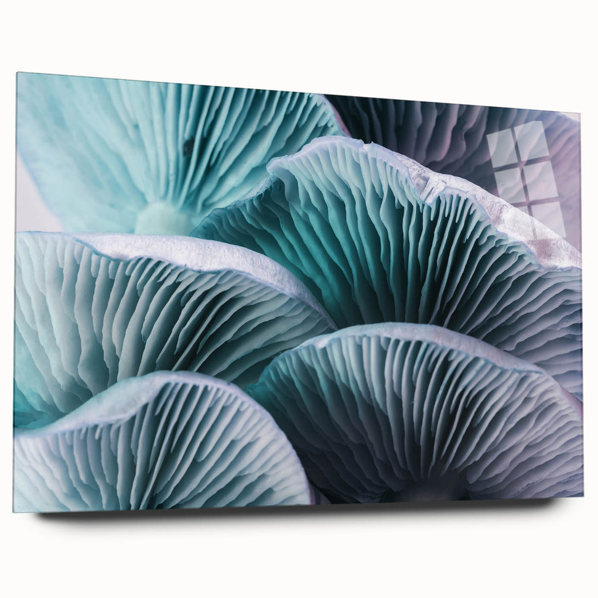 Large abstract floral design in soft pastel shades on acrylic glass, ideal for bedroom or dining room art.