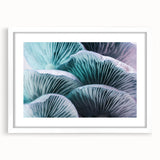 Abstract art print featuring close-up floral designs in soft pastel hues, displayed in a white framed mat.