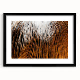 Extra large abstract art print featuring vibrant, colorful floral designs on a textured canvas, framed in black.