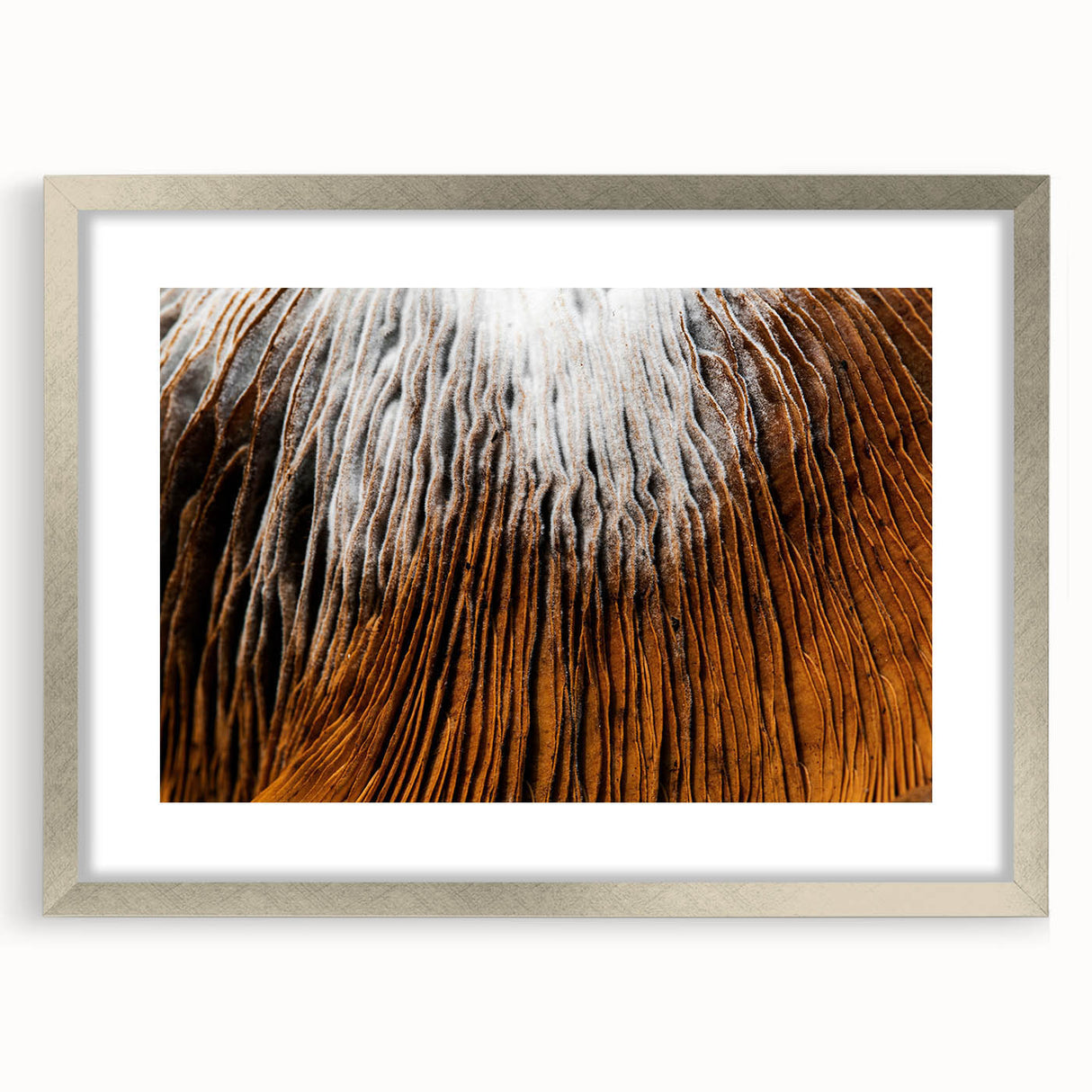 Textured abstract art print of florals in soft pastel shades, framed in silver, ideal for bedroom ambiance.