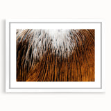 Abstract art print of vibrant florals in a white framed mat, suitable for dining room or bedroom wall decor.